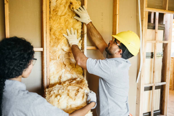 Best Attic Insulation Installation  in Thorntown, IN